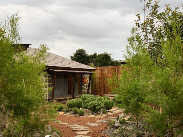 테라피스테이라는 컨셉에 맞춰 허브와 티트리를 활용해 조성한 ‘와온’의 정원.