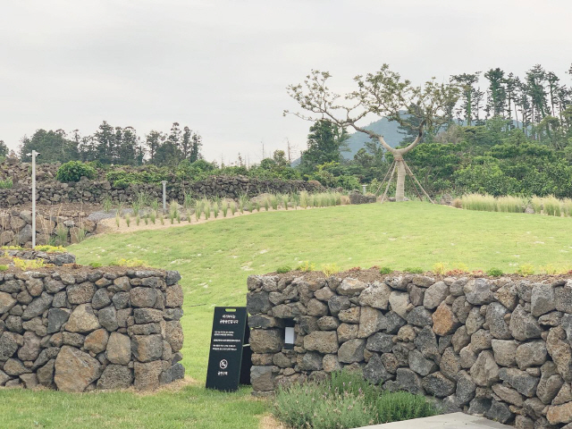 완만한 경사를 이루는 ‘선흘아이’의 공용 정원 공간.