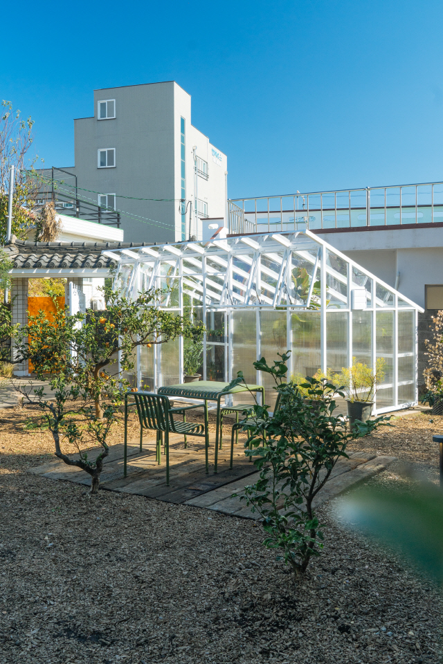 ‘식물집’ 정원 한켠엔 온실이 마련되어있다. /박성욱작가