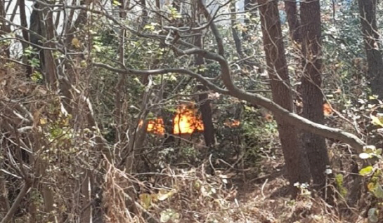 9일 오후 1시30분께 부산 해운대구 중동의 한 산에서 불이 나 1시간 30분만에 진화됐다./사진제공=부산경찰청