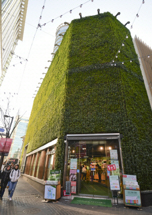 Myeong-dong, whose public announcement rose 3%, soared 38% of ownership tax…  Rent higher