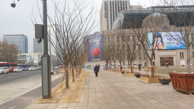 서울시, ‘세종대로 사람숲길’ 조성사업 연내 마무리… 내년 1월부터 순차적 개방