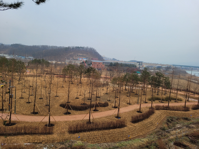 경안천 도시숲 2만 2206㎥ 1단계 조성 모습. /사진제공=용인시