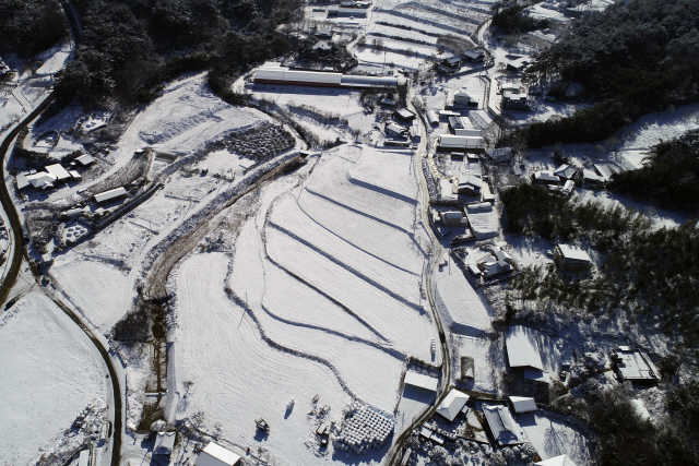 지난 12월 31일 오전 전남 담양군 창평면 농경지에 지난 이틀 동안 내린 눈이 쌓여 있다. /담양=연합뉴스