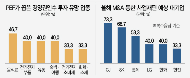 0515A02 PEF가 꼽은 경영권인수 투자 유망 업종, 올해 M&A 통한 사업재편 예상 대기업