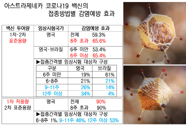 *예방 효과는 2차 접종 14일 이후 기준