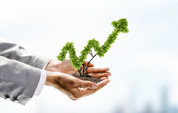 Image of human hands holding plant shaped like arrow