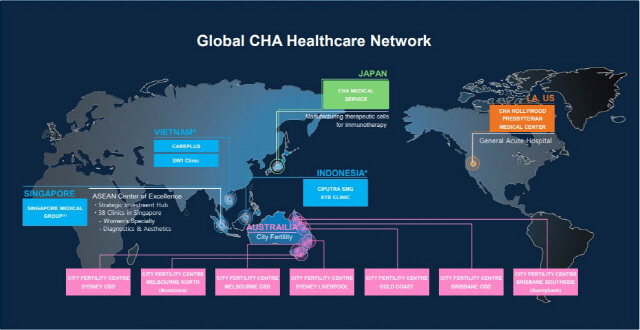 차병원 그룹의 해외 병원 진출 현황/자료제공=차바이오텍