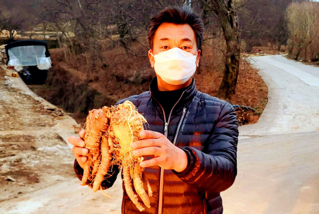 지난 3일 경남 하동의 야산에서 초대형 야생 산더덕이 발견됐다. /사진제공=한국전통심마니협회