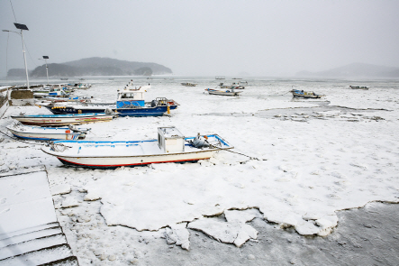 충남 서산시 최저기온이 영하 15.6도를 기록하는 등 동장군이 기승을 부린 8일 오전 가로림만에 있는 지곡면 중왕리 포구 선착장 앞바다가 꽁꽁 얼어붙었다. 중왕리 앞바다가 결빙된 건 2018년 1월 이후 3년 만이다./연합뉴스