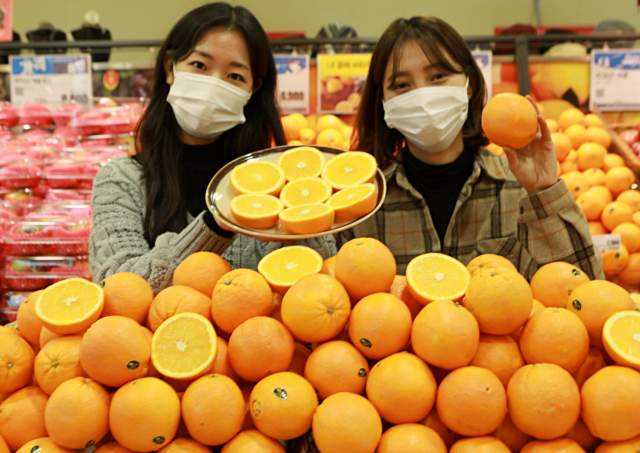 롯데마트 모델들이 서울 중구 롯데마트 서울역점에서 '캘리포니아산 오렌지'를 소개하고 있다. 롯데마트는 전 지점에서 캘리포니아산 오렌지를 1개 1,180원에 판매한다./사진제공=롯데마트