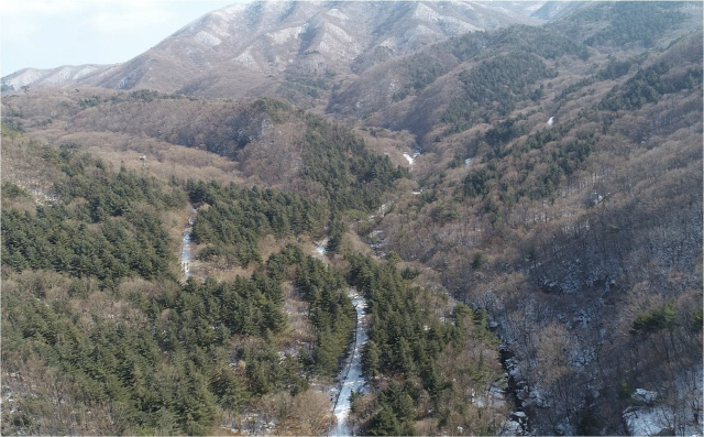 산림청이 드론으로 촬영한 국립지덕권산림치유원 조성 예정지. 사진제공=산림청