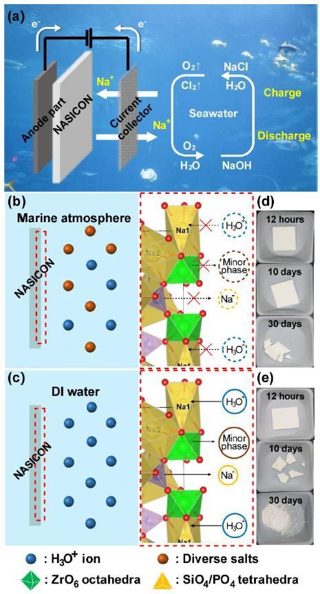 해수전지의 구조와 여러 구동 환경(담수, 해수)에서 안정성 평가. (a)해수전지의 개략적인 구조와 충전 방전 과정을 나타낸 모식도. (b, d)해수에서는 해수에 녹은 이온과 고체전해질 내부의 이온 사이에 치환 반응이 억제되어 구조적으로 안정적이다. (c, e)반면 순수한 물에서는 치환 반응이 잘 일어나며 구조적으로 불안정해지고 잘 부서진다.