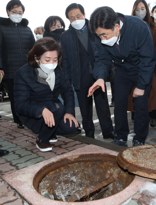 서울시장 보궐선거 출마를 선언한 나경원 전 국민의힘 의원이 14일 오후 재건축을 추진 중인 서울 금천구 남서울럭키아파트를 방문, 지역 주민의 고충을 듣고 있다. /연합뉴스