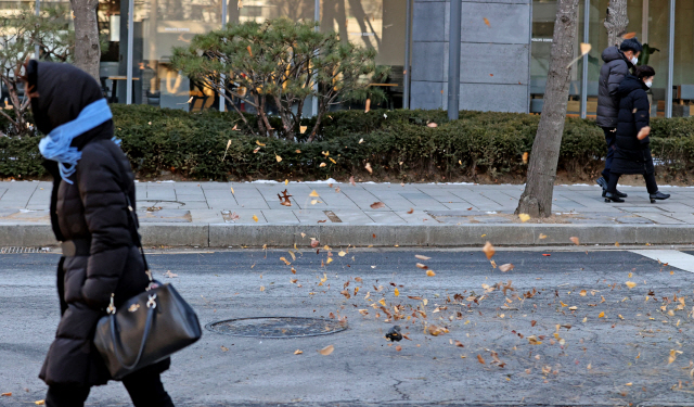 눈이 그친 18일 오후 서울 종로구 세종문화회관 인근 낙엽이 강한 바람에 날리고 있다. /연합뉴스