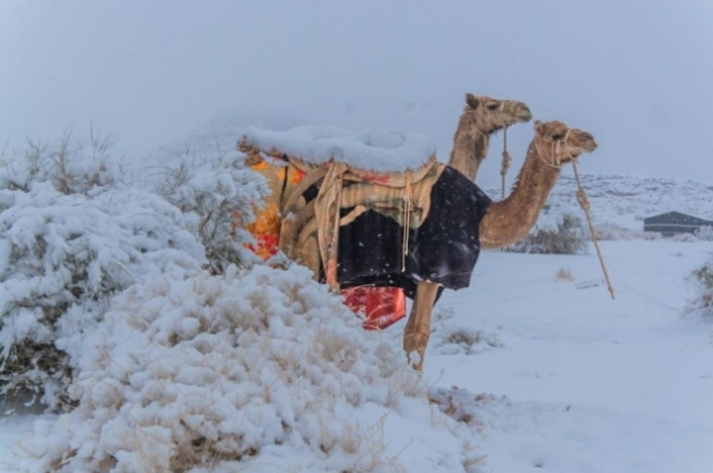 14일(현지시간) 눈이 쌓인 사우디아라비아(사우디) 남서부의 아시르 지역./페이스북 캡처