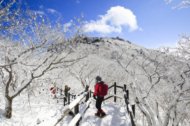 설천봉에서 향적봉까지 600m 구간에 펼쳐지는 눈부신 설경은 산악인들 사이에서 '작은 히말라야'로 불릴 만큼 겨울 산행의 백미로 꼽힌다.