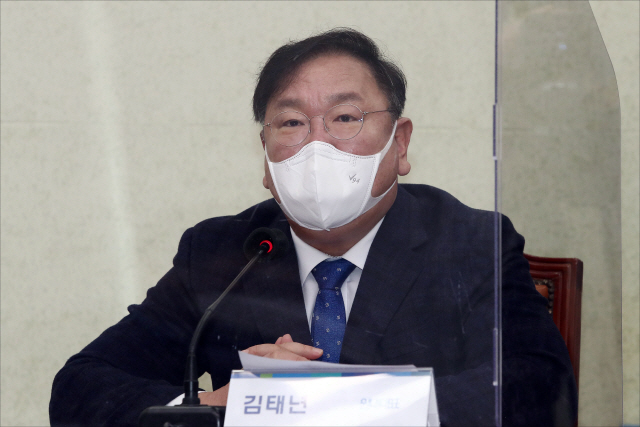 김태년 '설 연휴, 코로나 마지막 고비…긴급 피해지원금 집행 완료해야'