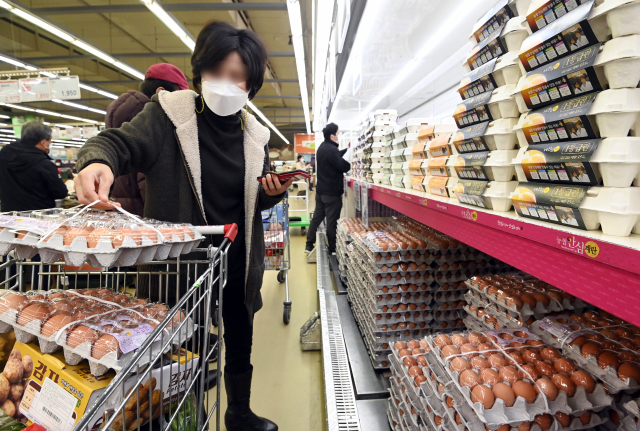 24일 서울의 한 대형마트를 찾은 시민들이 계란을 구매하고 있다./권욱기자