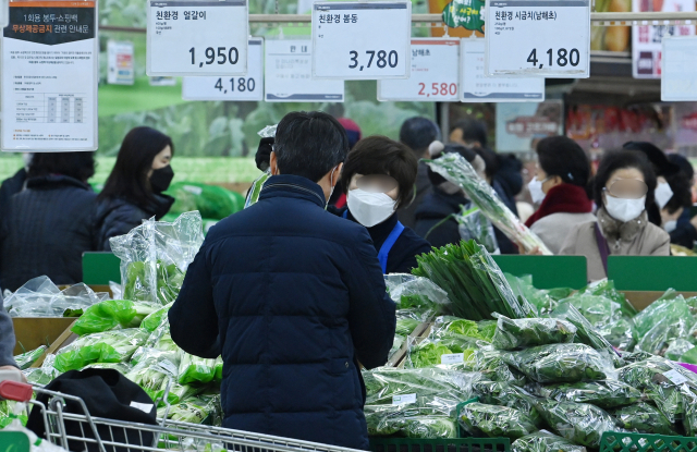 설 명절을 앞두고 채소와 과일, 계란 등의 물가가 급등하는데 가운데 24일 서울의 한 대형마트를 찾은 시민들이 장을 보고 있다. 한국물가협회는 4인 가족 기준으로 올해 설 차례상 비용이 지난해보다 11% 늘 것으로 전망했다./권욱기자