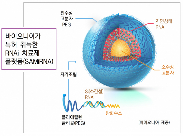 사진 설명