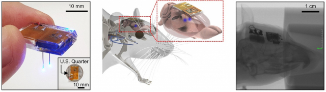 KAIST 전기및전자공학부 정재웅 교수 연구팀이 연세대 의대 김정훈 교수팀과 공동 연구를 통해 개발한 뇌 완전 이식형 무선 광유전학 기기. 사진제공=KAIST