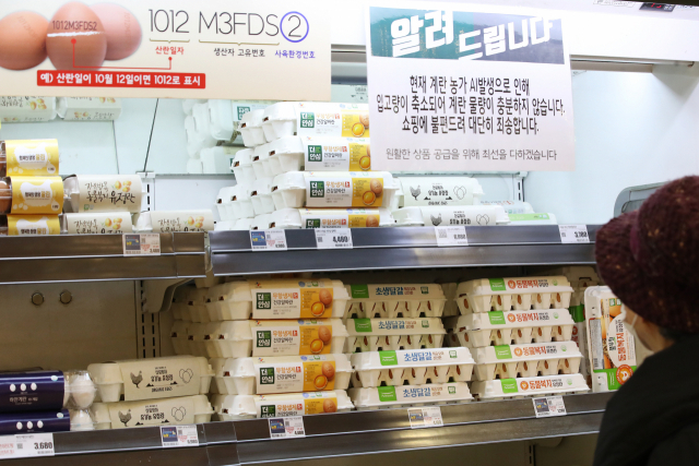 1일 서울의 한 마트에서 달걀을 고르는 시민. /연합뉴스