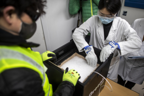코로나19 백신 안전유통을 위한 부처합동 모의훈련이 실시된 지난 3일 오후 서울 중구 국립중앙의료원 중앙예방접종센터에서 관계자들이 백신 샘플을 초저온 냉동고로 옮기고 있다./연합뉴스