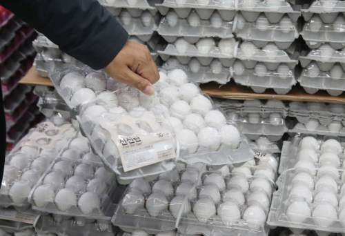 고병원성 조류인플루엔자(AI) 확산으로 급등한 계란 가격을 안정화하기 위해 수입된 미국산 계란이 경기도 오산의 한 마트에서 판매되고 있다. /연합뉴스