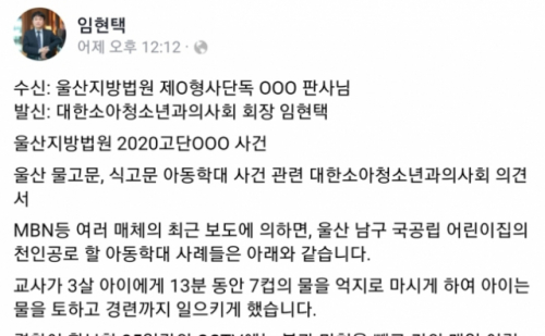 대한소아청소년과의사회, 울산 아동학대 의견서 제출/ 임현택 대한소아청소년과의사회장 페이스북 캡처