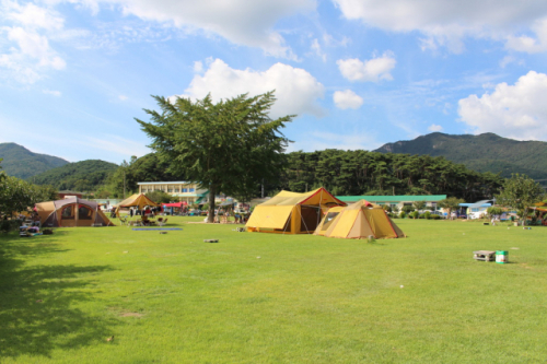 폐교된 전남 장성군 안평초등학교가 캠핑장으로 활용되고 있다. /사진제공=전남교육청