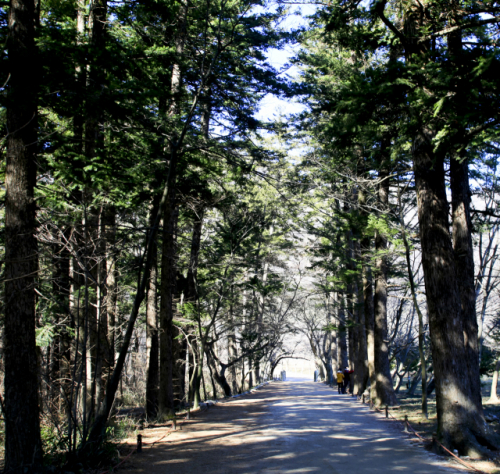 내소사 일주문부터 시작되는 600m 길이의 ‘전나무숲길’은 수백 그루의 전나무에서 뿜어내는 깨끗한 공기를 마음껏 마실 수 있는 힐링 코스다.