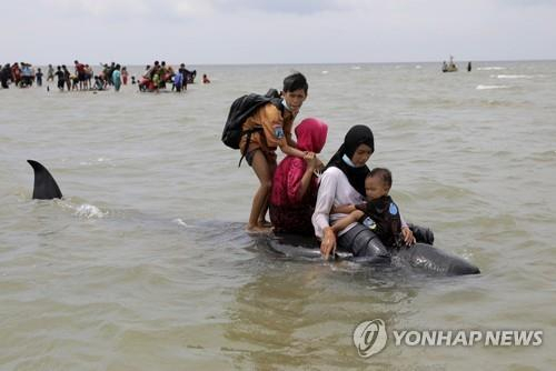 인도네시아 동부 해변서 들쇠고래 52마리 떼죽음
