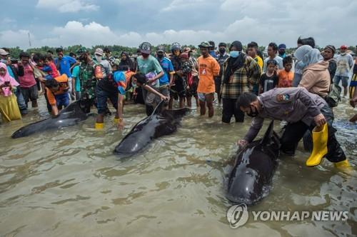 [AFP=연합뉴스]