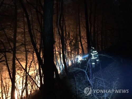 21일 오후 경북 안동 야산에서 발생한 산불 진화 모습./연합뉴스