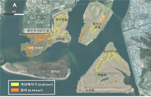 부산시, 낙동강하구 '드론 활용 모니터링사업' 본격 추진