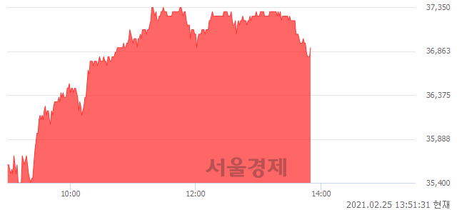 <코>디오, 5.58% 오르며 체결강도 강세 지속(192%)