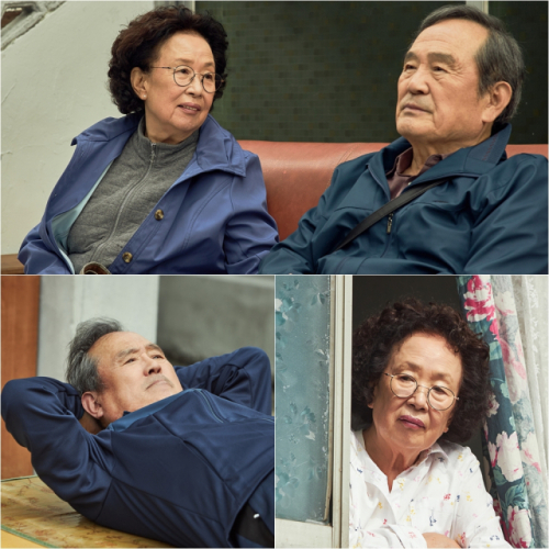 tvN '나빌레라' 박인환X나문희, 보기만해도 웃긴 연기 대가들의 부부 호흡