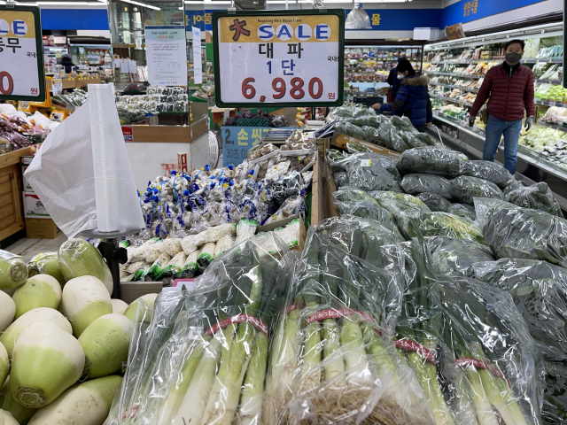 [뒷북경제]대파·양파·달걀 샀는데 2만원…장바구니 휜다