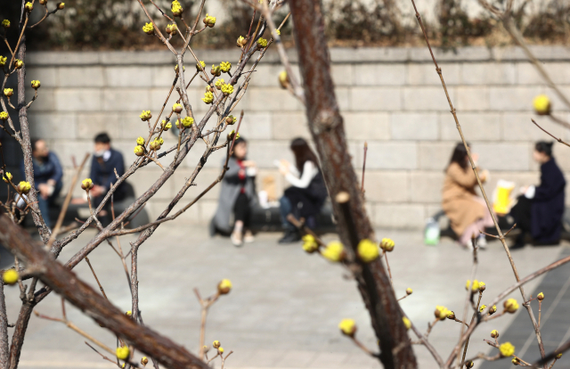 포근한 봄날씨에 청계천을 찾은 직장인들이 물가에서 점심식사를 하고 있다. /연합뉴스