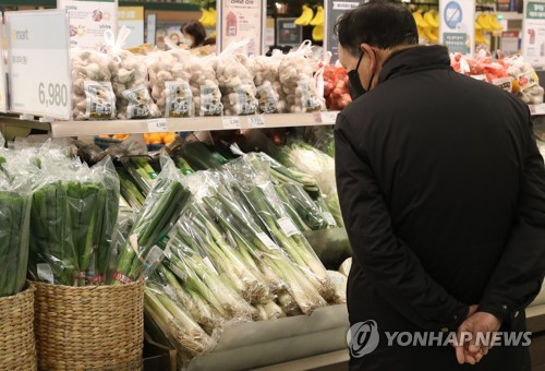 서울 시내 대형마트에 채소 판매대 모습. /연합뉴스