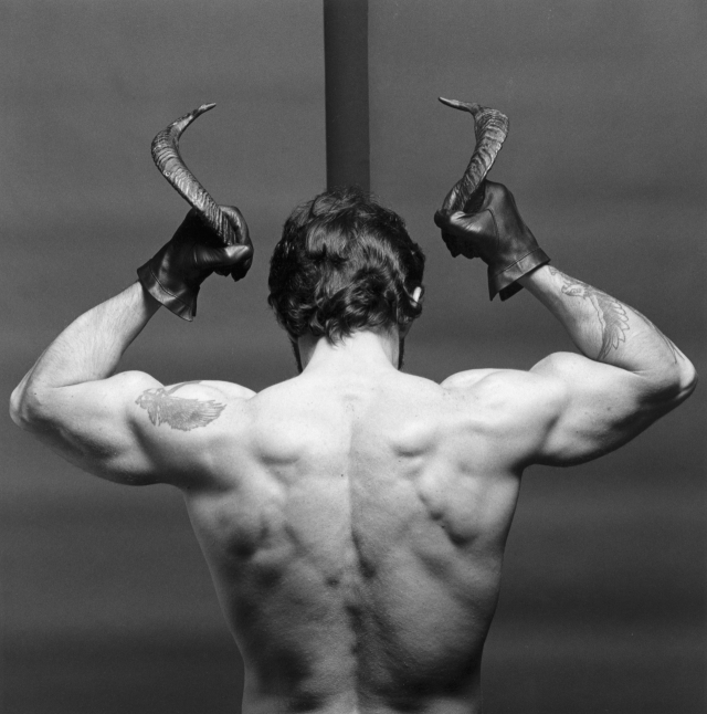 로버트 메이플소프의 '로버트 디아즈'. 단련된 이상적 몸 근육을 좌우대칭으로 표현하면서 악마의 뿔을 연상시키는 장치도 포함시켰다. /사진제공=국제갤러리