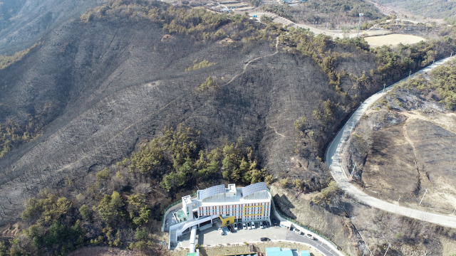 지난 2월 산불이 발생한 경북 안동 산불피해지. 사진제공=산림청
