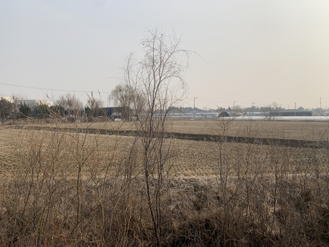 추가 신도시 후보지로 거론되고 있는 경기 김포 고촌읍 신곡리 일대. 현지 중개 업소에 따르면 투기성으로 의심되는 지분 거래가 부쩍 늘었다./양지윤기자
