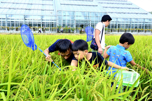 2015년 개최된 유기농엑스포에 어린이들이 방문해 유기농체험을 하고 있다. 사진제공=충북도