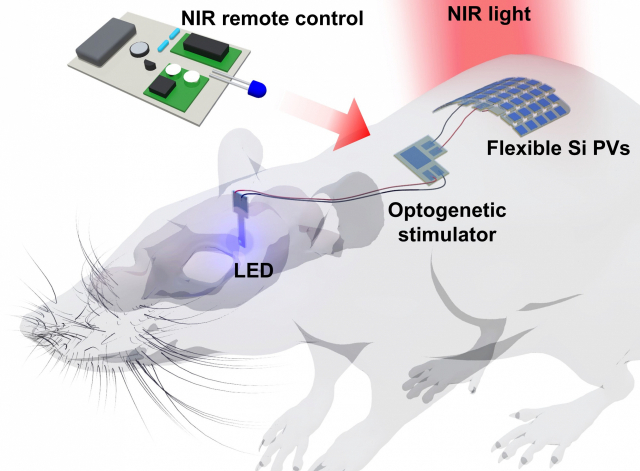 '빛으로 뇌 조절' 지스트, 웨어러블 광유전학 디바이스 개발