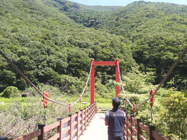 산림특별사법경찰이 드론을 이용해 산림내 불법행위를 단속하고 있다. 사진제공=산림청