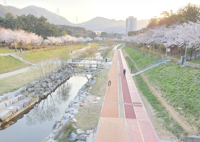 부산 기장군 좌광천 전경./사진제공=기장군