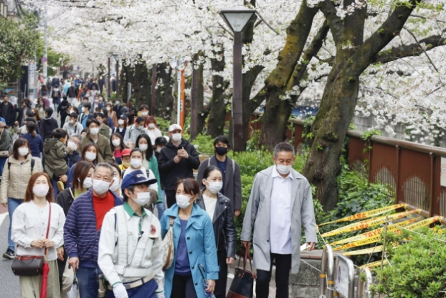 일본에서 신종 코로나바이러스 감염증(코로나19) 확산 속도가 다시 빨라지는 가운데 28일 오전 일본 도쿄도 메구로(目黑)구에서 나들이객들이 벚꽃이 만개한 거리를 걷고 있다./교도연합뉴스