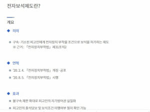 전자보석 제도 설명/출처=법무부 홈페이지